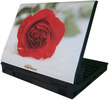 flower laptop.jpg